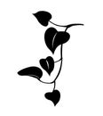 Epipremnum leaf icon	,   line color vector illustration Royalty Free Stock Photo