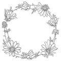 Vector round frame with outline Adonis vernalis or spring pheasant`s eye in black isolated on white background.