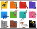 Basic colors set with cartoon birds animal characters