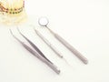 Basic dental tools and dental model Royalty Free Stock Photo
