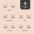 5 basic eyebrow shapes.