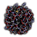 Basic fibroblast growth factor bFGF molecule. Plays role in wound healing, angiogenesis, etc.