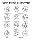 The basic forms of bacteria Royalty Free Stock Photo