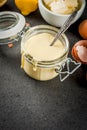 Basic Hollandaise sauce Royalty Free Stock Photo