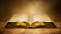 Basic icon of a sacred book with blank pages, symbolizing reverence