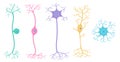 Basic neuron types