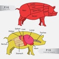 Basic pig internal organs and cuts chart Royalty Free Stock Photo