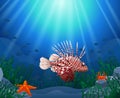 Lionfish and coral reefs in the sea. Royalty Free Stock Photo