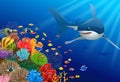 Sharks and coral reefs in the sea. Royalty Free Stock Photo