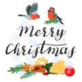 Merry Christmas. Lettering with bullfinches and a spruce branch