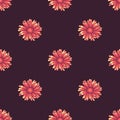 Seamless pattern with pink and orange daisy flowers on dark violet background