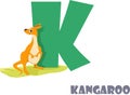 Cute Animal Zoo Alphabet. Letter K for kangaroo Royalty Free Stock Photo