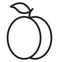 Peach Isolated Vector icon that can be easily modified or edit