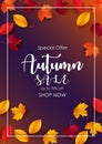 Autumn sale background with falling leaves