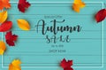 Autumn Sale on blue wooden texture background