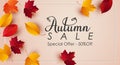 Autumn sale background with colorful leaves