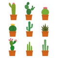 Cactus plant collections vector set Royalty Free Stock Photo