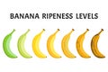 Banana ripeness levels set