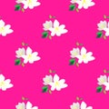 Seamless pattern with blossoming branches of cherry. White flowers and buds on a pink background. Spring floral background. Royalty Free Stock Photo