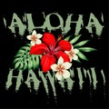 Hawaii aloha tropical flowers design colored Royalty Free Stock Photo