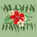 Hawaii aloha tropical flowers design colored Royalty Free Stock Photo