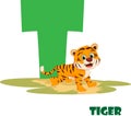 Cute Animal Zoo Alphabet. Letter T for tiger