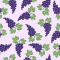 GRAPE FRUIT SEAMLESS PATTERN