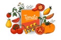 Vector set with fresh tomatoes. Royalty Free Stock Photo