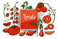 Vector set with fresh tomatoes. Royalty Free Stock Photo