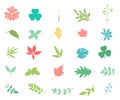 Flower color icon set Royalty Free Stock Photo