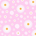 Floral Pattern of White Daisies in Pink Background Royalty Free Stock Photo