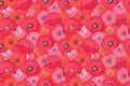 Red and pink poppies and mallows