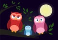 Family of owls. Cute cartoon owls collection.