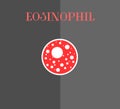 Eosinophil cell of immune system fights allergy and parasites.