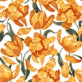 Floral seamless pattern with yellow tulips. Spring flowers background Royalty Free Stock Photo