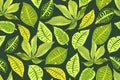 Tropical vector seamless pattern. Royalty Free Stock Photo