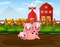 Three pigs playing at the farm with red barnhouse background