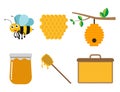 Collection of bee and honey product set on white background