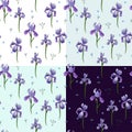 Vector set of seamless pattern of iris flowers. Royalty Free Stock Photo