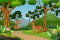 Cute two gazelle playing in the jungle