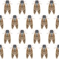 Seamless pattern with exotic cicada flies. Royalty Free Stock Photo