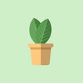 Flat design of a plant in a pot