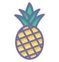 Ananas Isolated Vector icon which can easily modify or edit Royalty Free Stock Photo