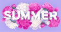 Summer design with blooming pink peony flowers, petals and leaves. Royalty Free Stock Photo