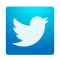 Twitter logo icon bird vector element on white background Royalty Free Stock Photo