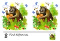 Logic puzzle game for children. Need to find 8 differences. Printable page for baby brainteaser book or kids magazine publishing.