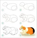 Educational page for kids shows how to learn step by step to draw a cute guinea pig. Back to school. Developing children skills.