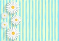 White Daisies in Yellow Background with Blue Watercolor Stripes Pattern