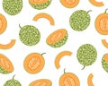 Seamless pattern of fresh cantaloupe melon isolated on white background