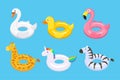 Collection of colorful floats cute kids toys set in different animals Royalty Free Stock Photo